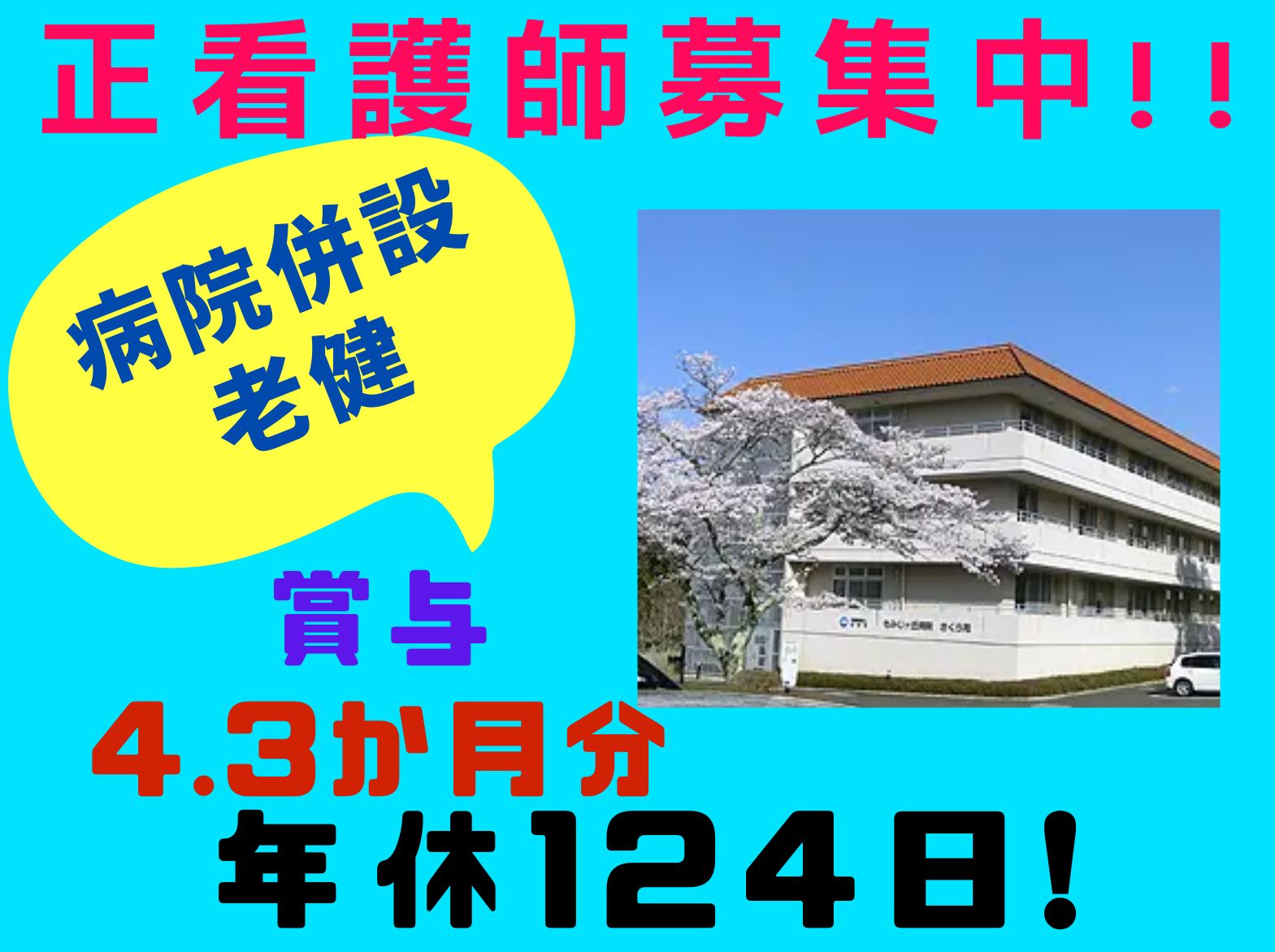 介護老人保健施設　さくら苑の正社員 看護師 介護老人保健施設求人イメージ