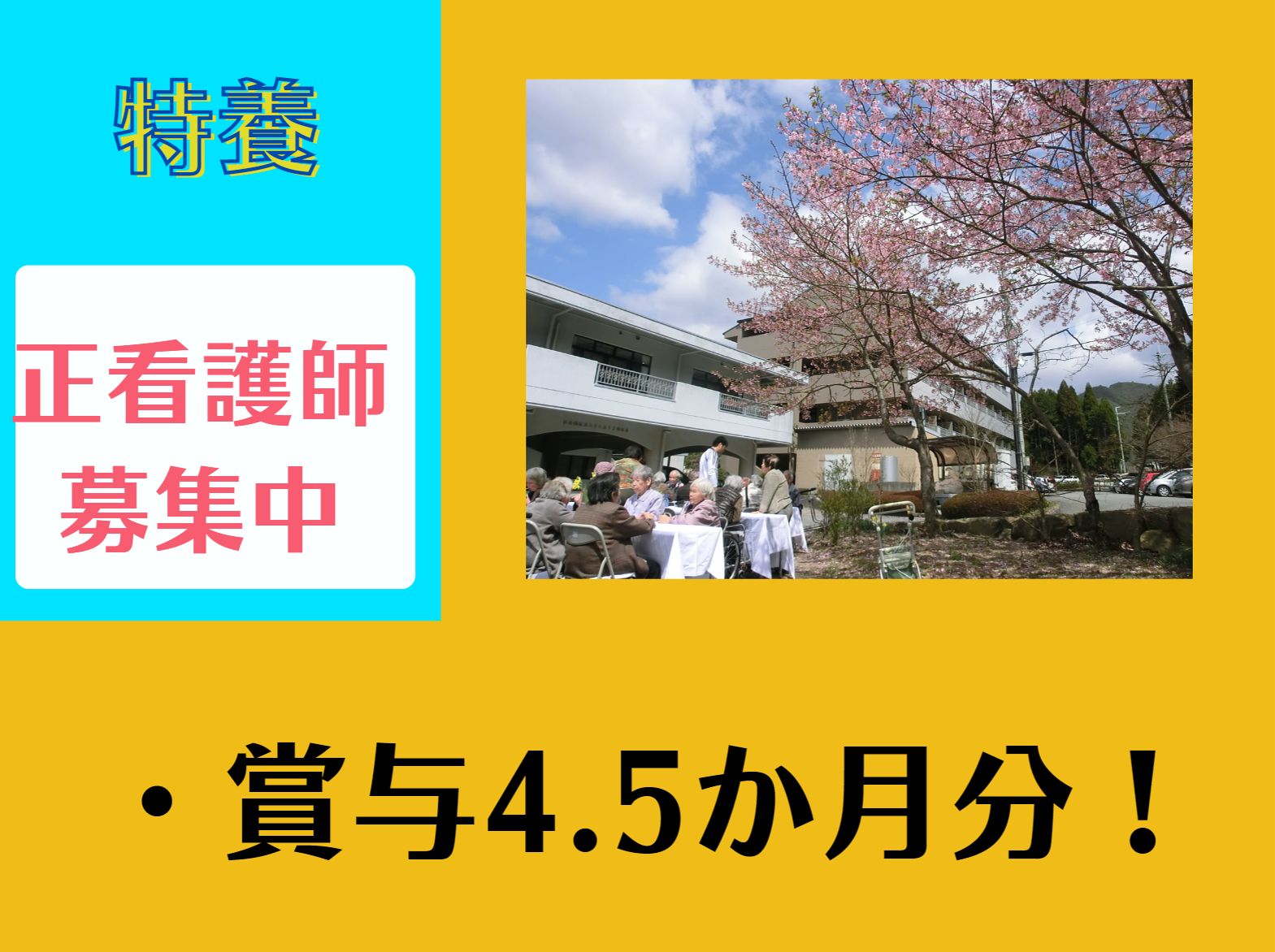 特別養護老人ホームしあわせ荘の正社員 看護師 特別養護老人ホーム求人イメージ